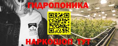 прущие крисы Изобильный