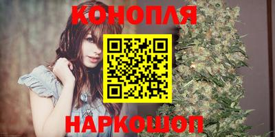прущие крисы Изобильный