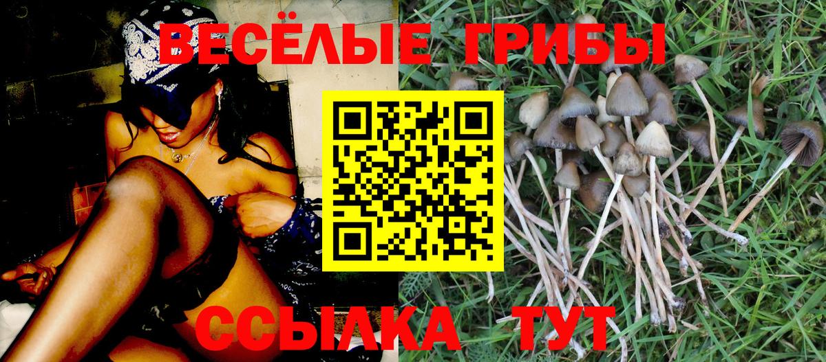Галлюциногенные грибы GOLDEN TEACHER  Псилоцибиновые грибы прущие грибы  Вход с VPN  Тутаев 