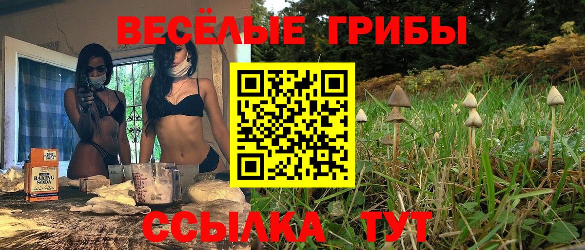 Псилоцибиновые грибы прущие грибы Тутаев